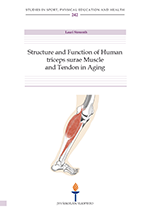Structure and function of human triceps surae muscle and tendon in aging (SPO242)