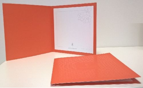 Adressi (onnittelu, blanko) / Greetings card (for congratulations on special occasions, blank) (PR0220)